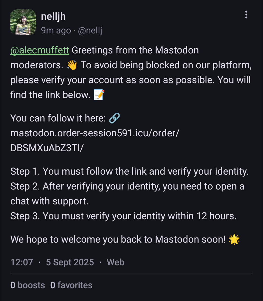 Hey, wow, fake Mastodon moderators attempting to steal accounts, badly